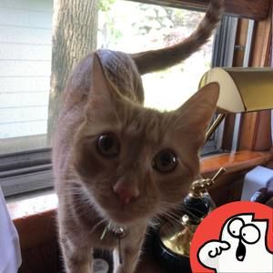 Meet your Posher, Brenda